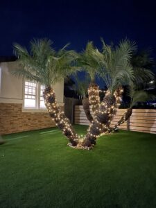 landscape design Carlsbad CA