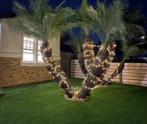 backyard remodeling Carlsbad CA