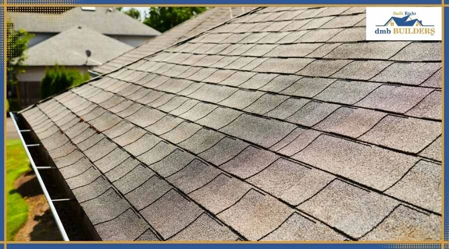 Moss and algae growth on shingles causing moisture damage and roof deterioration